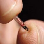 Microchip sottopelle al posto di carte di credito e abbonamenti - paologaveglio